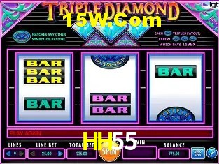 Login Seguro HH55